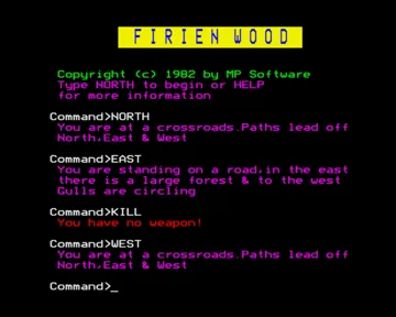 Firien Wood (1982)(MP)[FWOOD] screen shot game playing